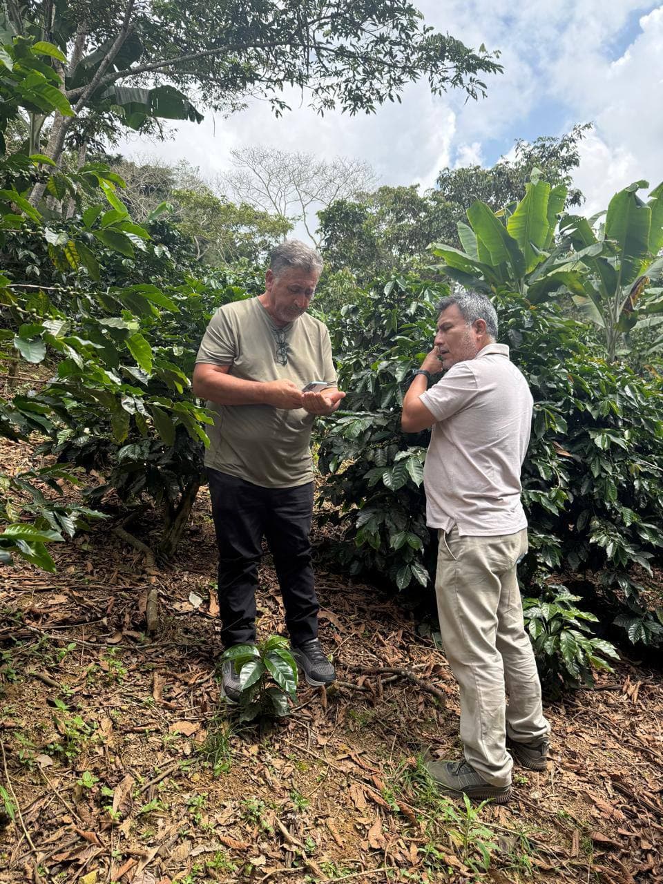 Lot discussion with producer at the farm